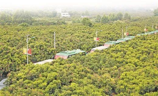 重點(diǎn)縣名單公布 柳州這里入選