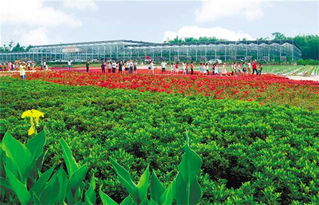 高質量高品質打造 六養圣地 潼南加快建設重慶新興知名旅游目的地