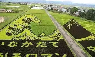 2019年,7個(gè)能賺錢(qián)的農(nóng)業(yè)新模式