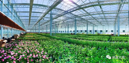 鄉(xiāng)村振興 錢(qián)從哪來(lái) 錢(qián)往哪去