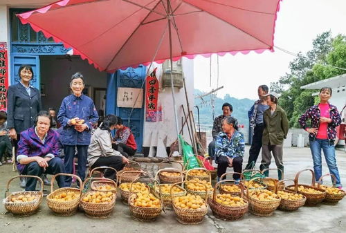 線上 線下多渠道助銷 黃山旅游 公益助農(nóng)顯擔(dān)當(dāng)