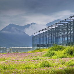 武功山.花澗里現(xiàn)代農(nóng)業(yè)觀光園開園儀式順利舉辦 內(nèi)附大量美圖