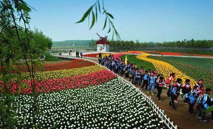 行走的課堂--帶你走進陜西十大自然生態研學旅游目的地