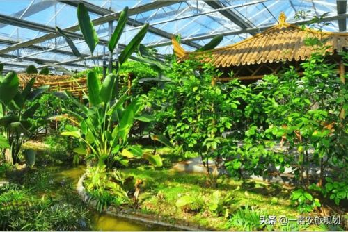 現代農業莊園規劃設計要點