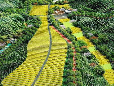 如何利用&ldquo;四荒地&rdquo;發(fā)展休閑農(nóng)業(yè)與鄉(xiāng)村旅游?