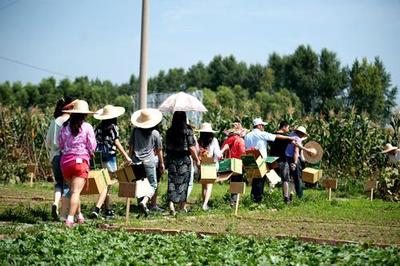 日本農(nóng)業(yè)精耕細(xì)作是被逼無奈,臺(tái)灣又何嘗不是?