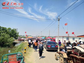 發(fā)展綠色生態(tài)農(nóng)業(yè) 推進(jìn)鄉(xiāng)村旅游發(fā)展 陳莊鎮(zhèn)第五屆臨合蜜采摘節(jié)活動(dòng)盛大開幕