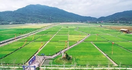 九年!海南這個(gè)地方從濱海漁村如何變成國(guó)際灣區(qū)?