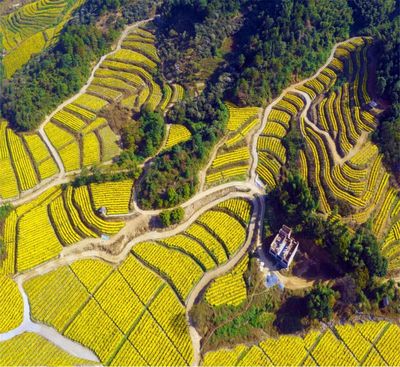 宜春明月山溫湯鎮(zhèn):在鄉(xiāng)村振興路上走出新&ldquo;硒&rdquo;望