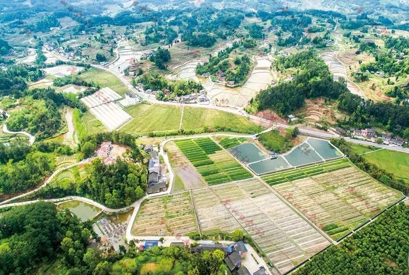 南川!南川!相生相伴,我越來(lái)越愛(ài)你&hellip;