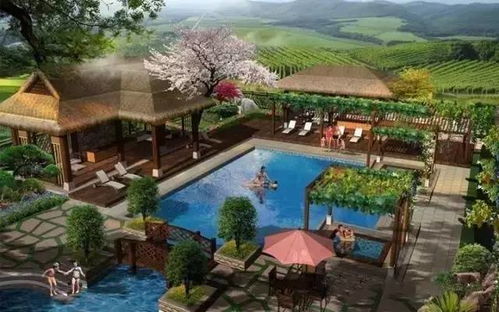 未來(lái)養(yǎng)生市場(chǎng)將達(dá)千億規(guī)模,休閑旅游開發(fā)如何抓住機(jī)遇