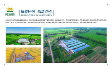 黑龍江大錦農(nóng)農(nóng)業(yè)開發(fā)