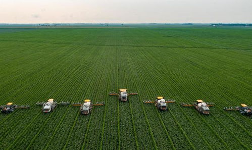 賦能農(nóng)林業(yè),助力鄉(xiāng)村振興