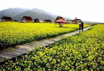 美麗鄉村:文旅融合的主要思路