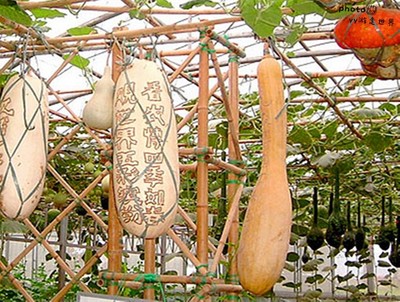 煙臺本地人告訴你開發區、福山區、牟平區有什么好玩