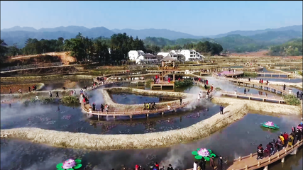 歐陽巧文調研生態農業和旅游開發工作