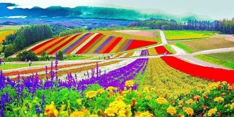 中國休閑農業發展現狀、問題與對策