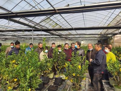 外出實踐學習,助推鄉村振興