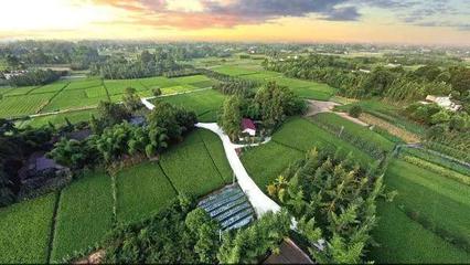 這些休閑農業的新業態,做鄉村旅游必需要了解!