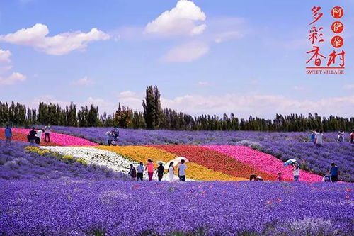 農秀才 農業農村部推薦100個休閑農業和鄉村旅游精品景點線路