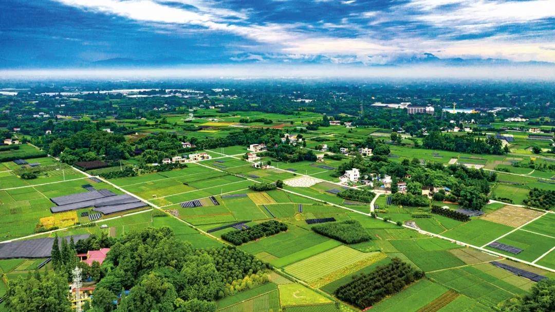 聯(lián)農(nóng)帶農(nóng)富農(nóng),助力鄉(xiāng)村振興 云南鹽津芭蕉村農(nóng)業(yè)開發(fā)有限公.