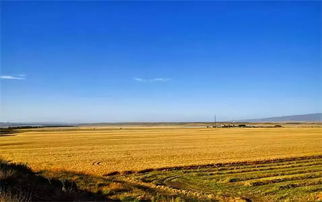 還說我國農(nóng)藥殘留監(jiān)管不如國外 現(xiàn)已超過國際食品法典 雞蛋價格啥時候 蛋定 專家 節(jié)前沖高,節(jié)后回調(diào) 中科協(xié)揭秘8月 科學(xué)流言