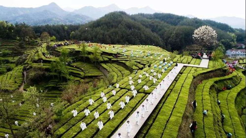 劉力 疫情對(duì)文旅行業(yè)發(fā)展帶來的改變