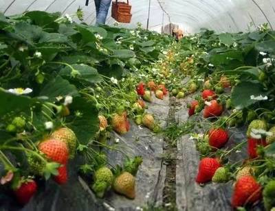 厲害了！江蘇9縣市被中央點贊，揚州上榜！快看看有沒有你家~