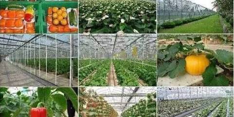 中國新農村 五位一體模式下的農業旅游發展新圖景