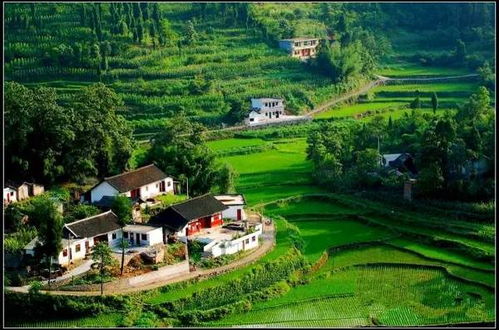 四個適合男人的偏門小本創業項目 農業旅游開發的機遇