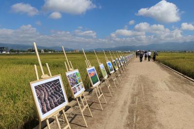 豐收云南·暢游保山——2023年中國農(nóng)民豐收節(jié)系列活動暨農(nóng)業(yè)旅游開發(fā)新篇章