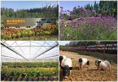 2018文旅地產與農業(yè)旅游開發(fā)專題研討會 美麗鄉(xiāng)村與特色小鎮(zhèn)新機遇