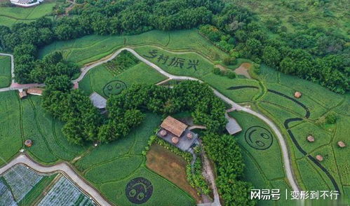 點贊！廣州從化四個特色小鎮(zhèn)擬納入省級培育庫，農業(yè)旅游開發(fā)譜寫新篇