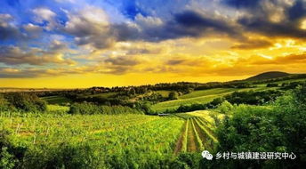 農旅融合新紀元 引爆“農業(yè)+”康養(yǎng)文旅地產的復合型開發(fā)浪潮