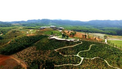 巾幗科技繪就田園新景 儋州某單位榮膺“全國巾幗現代農業(yè)科技示范基地”的啟示