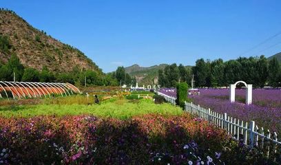 創意農業丨他山之石 城郊休閑農業的創意源泉與旅游開發新路徑