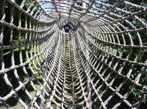 農旅融合新畫卷 從游樂場到蜘蛛網的網格化探索